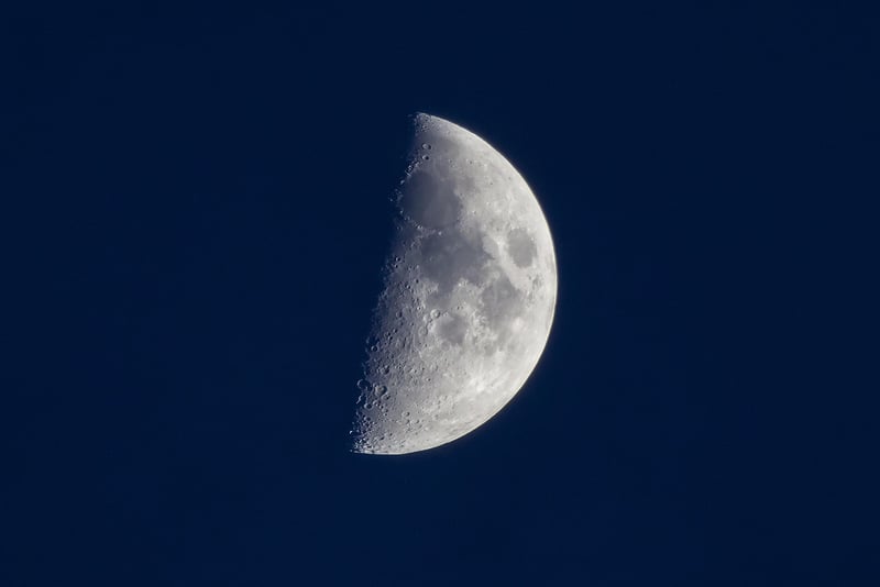Lunar Bond Chronicles